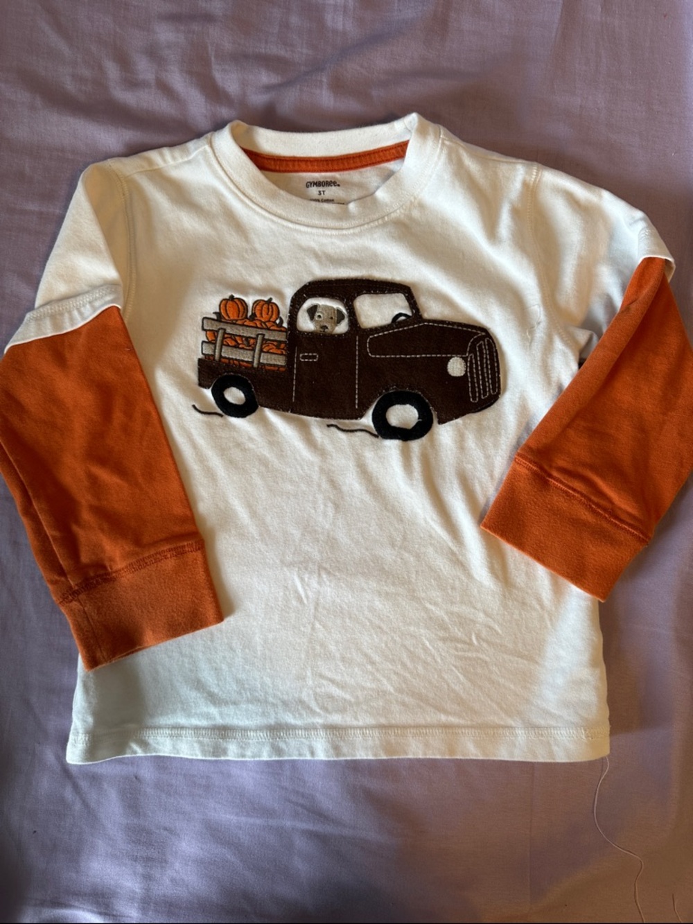 Gymboree White Long-Sleeve Tee with Orange Sleeves & Brown Truck Applique